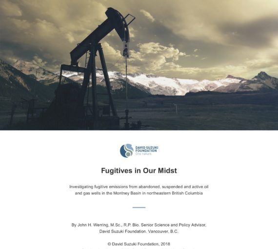 Fugitives in Our Midst: Investigating Fugitive Emissions from Abandoned, Suspended and Active Oil and Gas Wells in the Montney Basin in Northeastern British Columbia cover