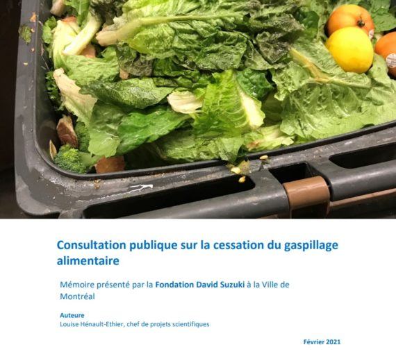 Consultation publique sur la cessation du gaspillage alimentaire