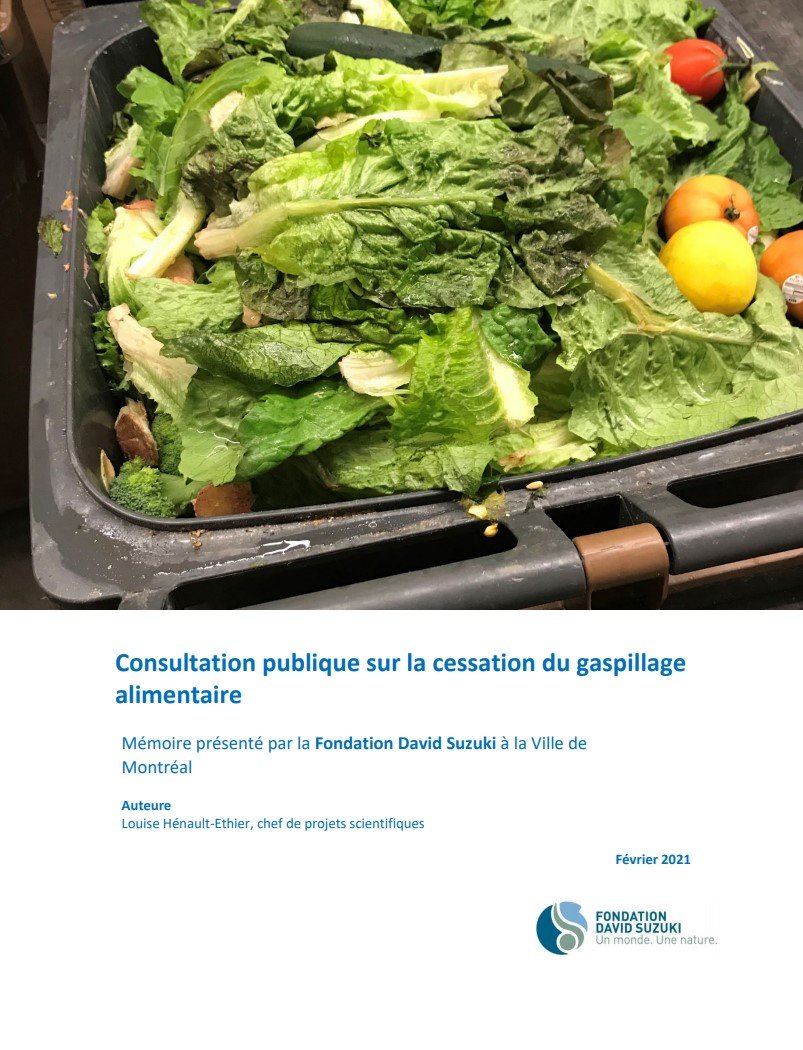 Consultation publique sur la cessation du gaspillage alimentaire