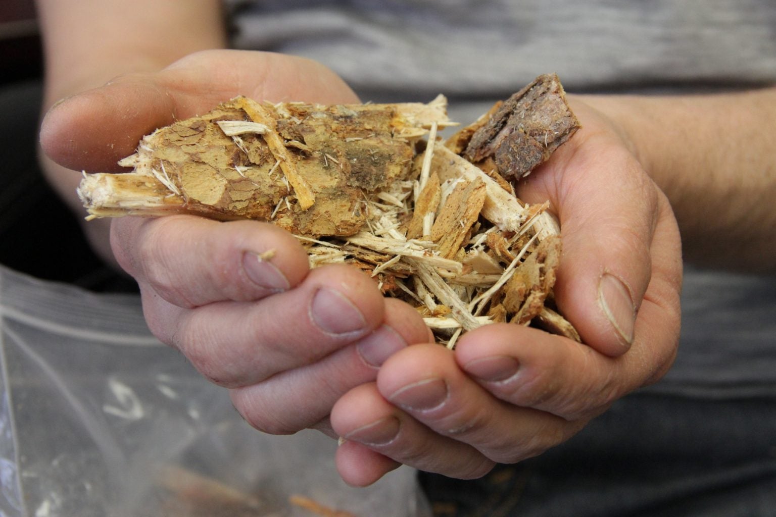 Softwood hog fuel Fondation David Suzuki