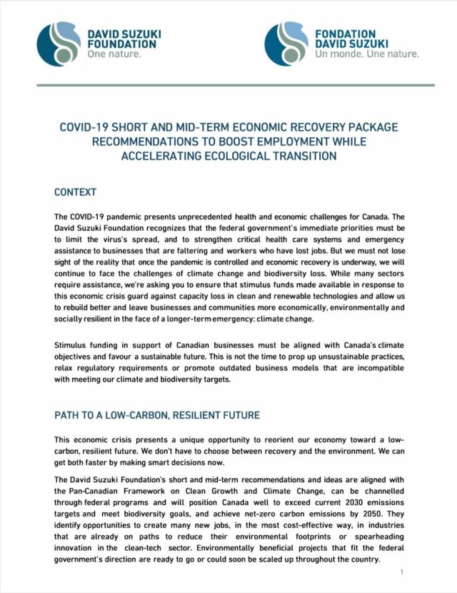 COVID-19-Short-Mid-Term-Economic-Recovery-Package-Recommendations-Boost-Employment-Accelerating-Ecological-Transition