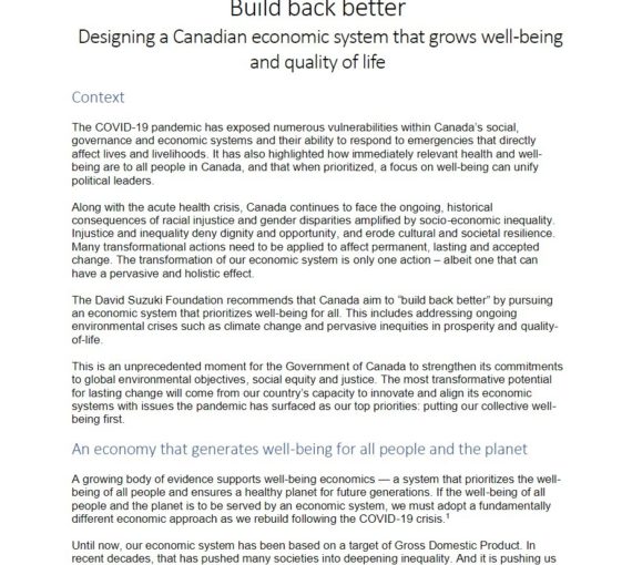 Build Back Better: Designing a Canadian economic system that grows well-being and quality of life