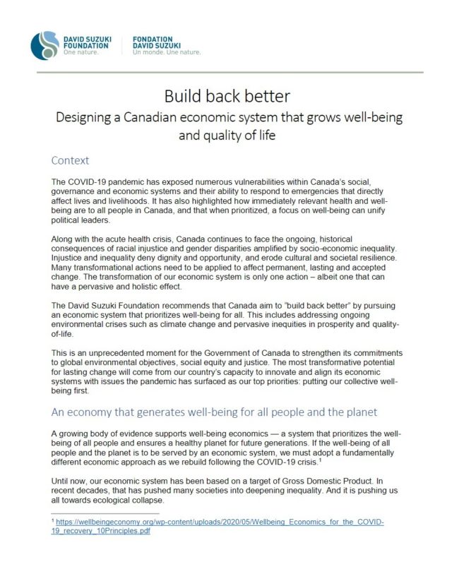 Build Back Better: Designing a Canadian economic system that grows well-being and quality of life