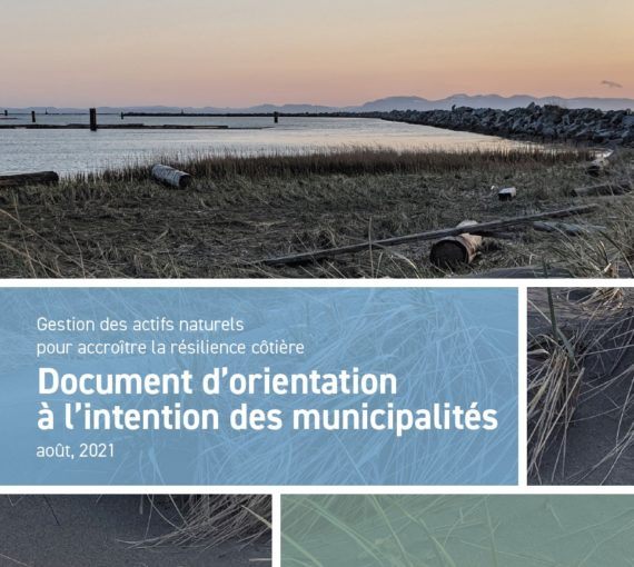 Gestion des actifs naturels pour accroître la résilience côtière : Document d'orientation pour les municipalités