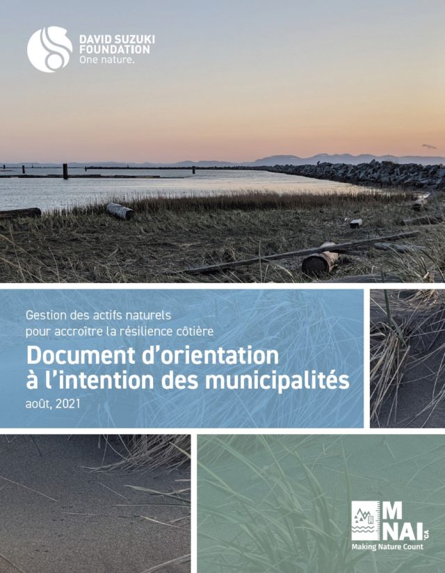 Gestion des actifs naturels pour accroître la résilience côtière : Document d'orientation pour les municipalités