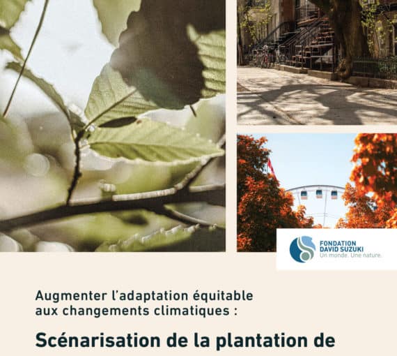 Augmenter l’adaptation équitable aux changements climatiques : Scénarisation de la plantation de 500 000 nouveaux arbres sur le territoire de la Ville de Montréal