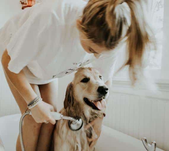 une femme lave son chien