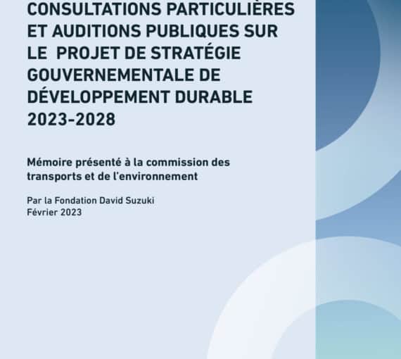 Consultations particulières et auditions publiques sur le projet de stratégie gouvernemenrale de développement durable 2023-2028