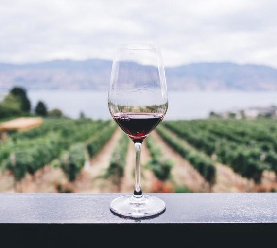 Un verre de vin rouge surplombant un vignoble