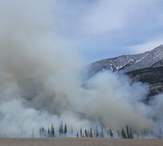 Nuage de fumée des incendies de forêt couvrant un arrière-plan montagneux