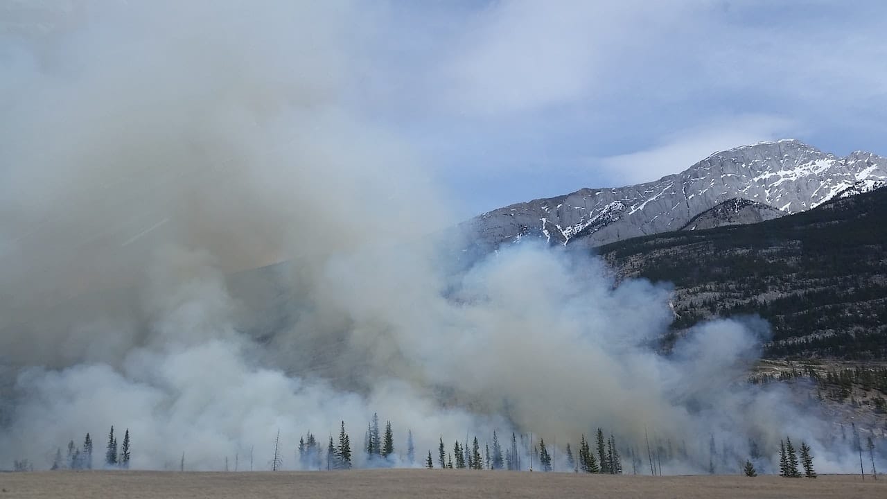 Nuage de fumée des incendies de forêt couvrant un arrière-plan montagneux