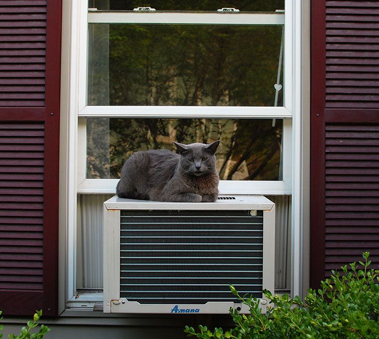 Chat qui relaxe sur une unité de climatisation installée sur une fenêtre