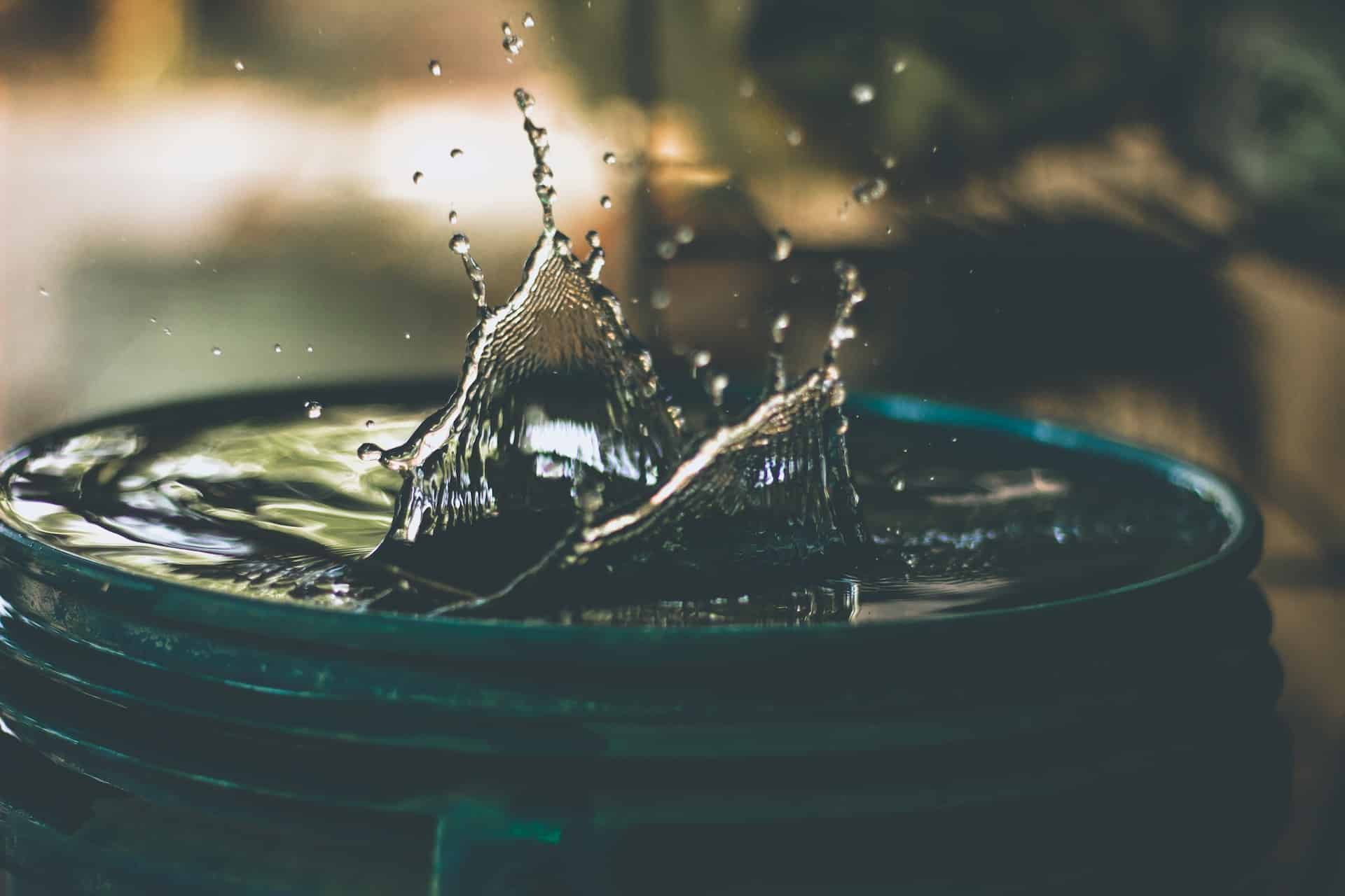 Conserver l’eau en collectant et réutilisant l’eau de pluie