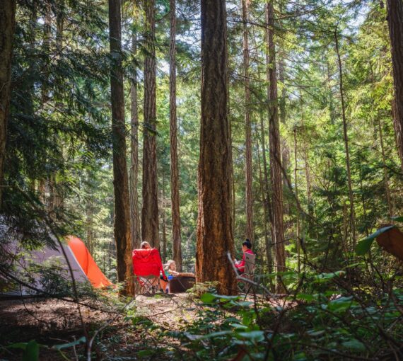 Famille profitant de la nature en camping en plein air dans la forêt