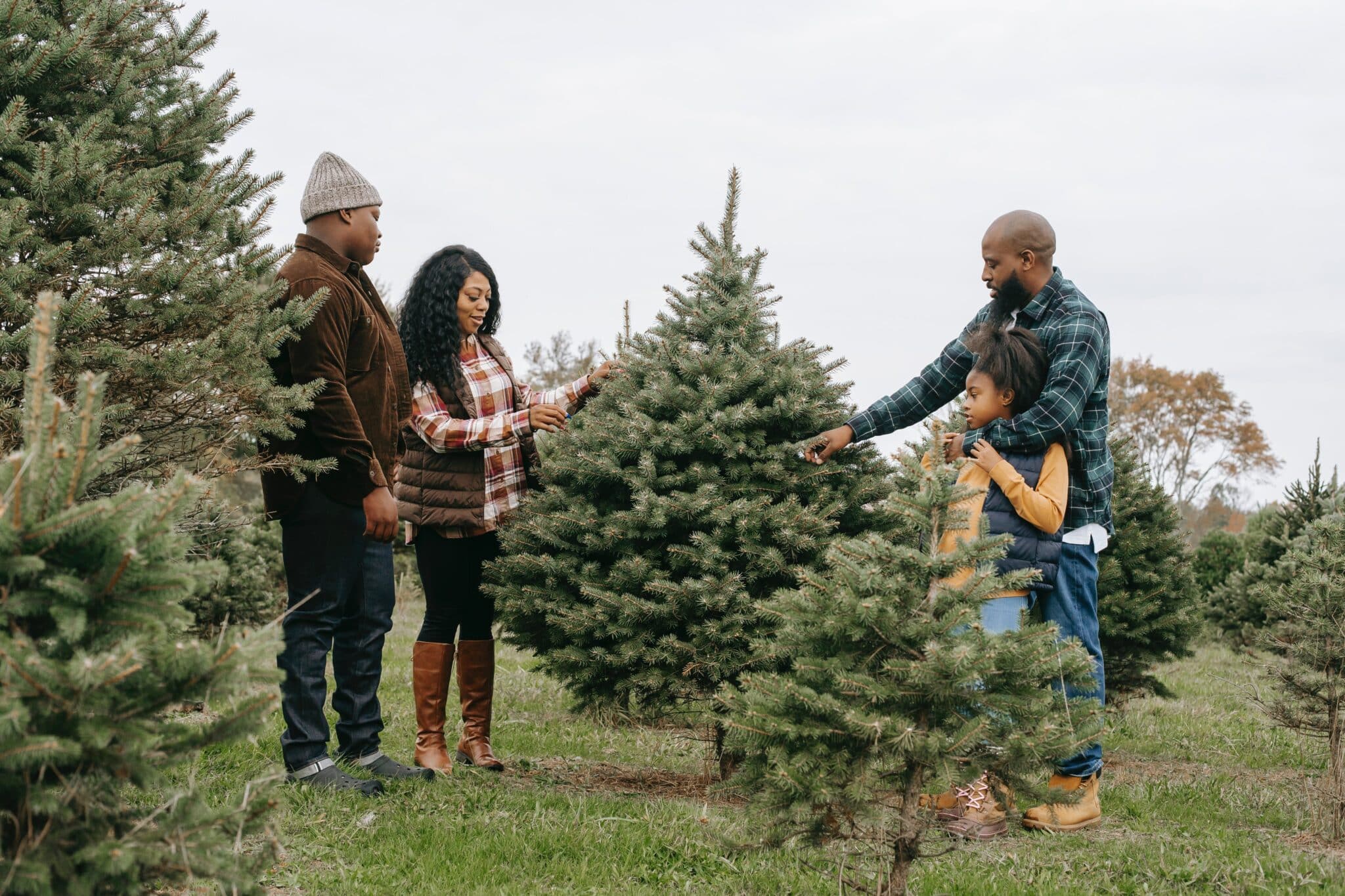 Une famille de quatre personnes choisissant un sapin de Noël vivant et respectueux de l'environnement dans une ferme arboricole.