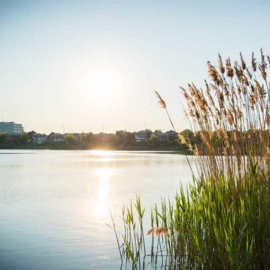 Bramptonwatersunsetimage570x570 Fondation David Suzuki