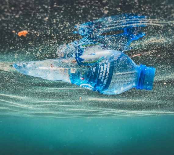 a plastic bottle floating in the water
