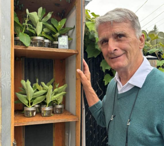 Roger présente sa pouponnière d’œufs de papillons monarques.