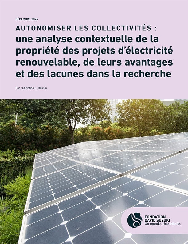 Autonomiser les collectivités : une analyse contextuelle de la propriété des projets d’électricité renouvelable, de leurs avantages et des lacunes dans la recherche