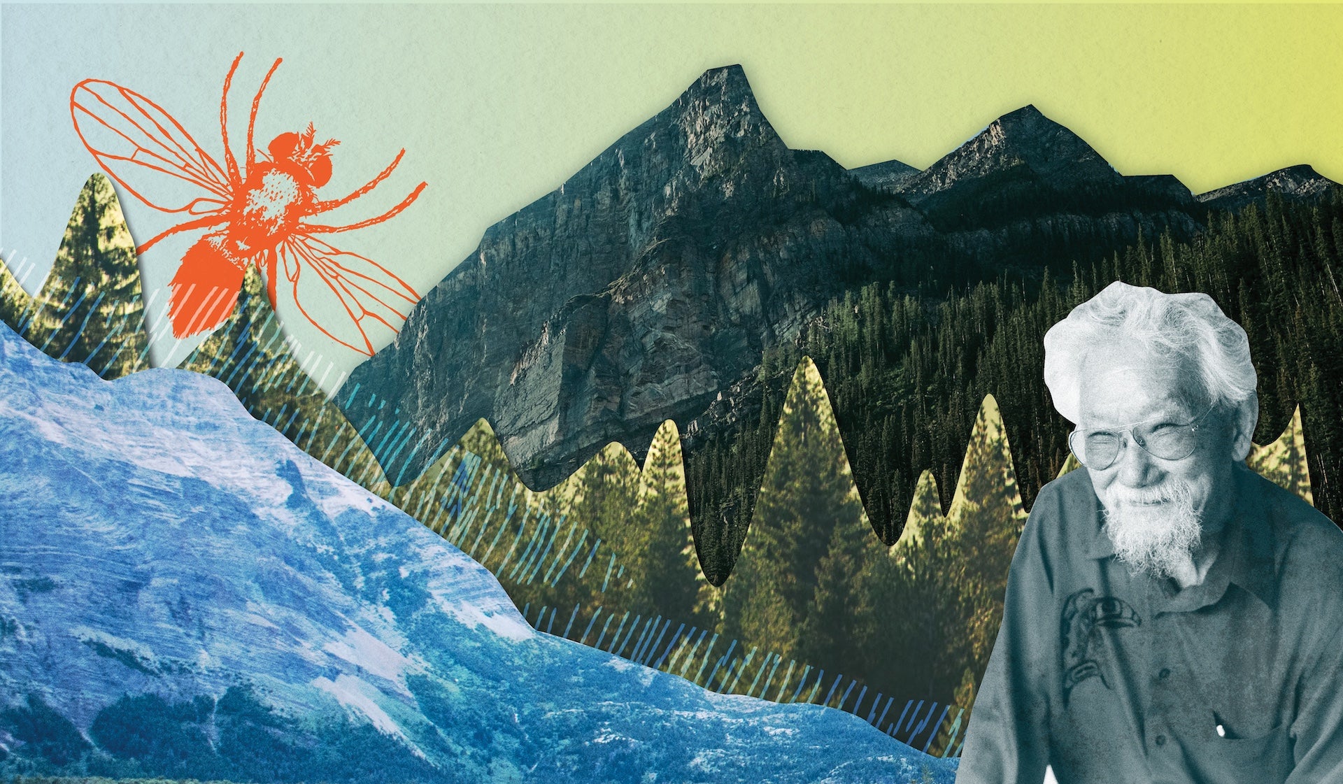 Legacy: Une célébration du 90e anniversaire de David