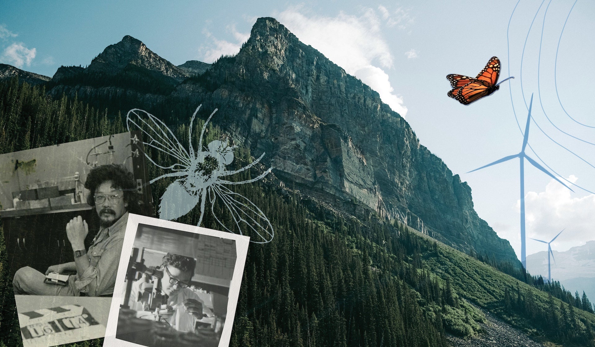 Legacy: Une célébration du 90e anniversaire de David