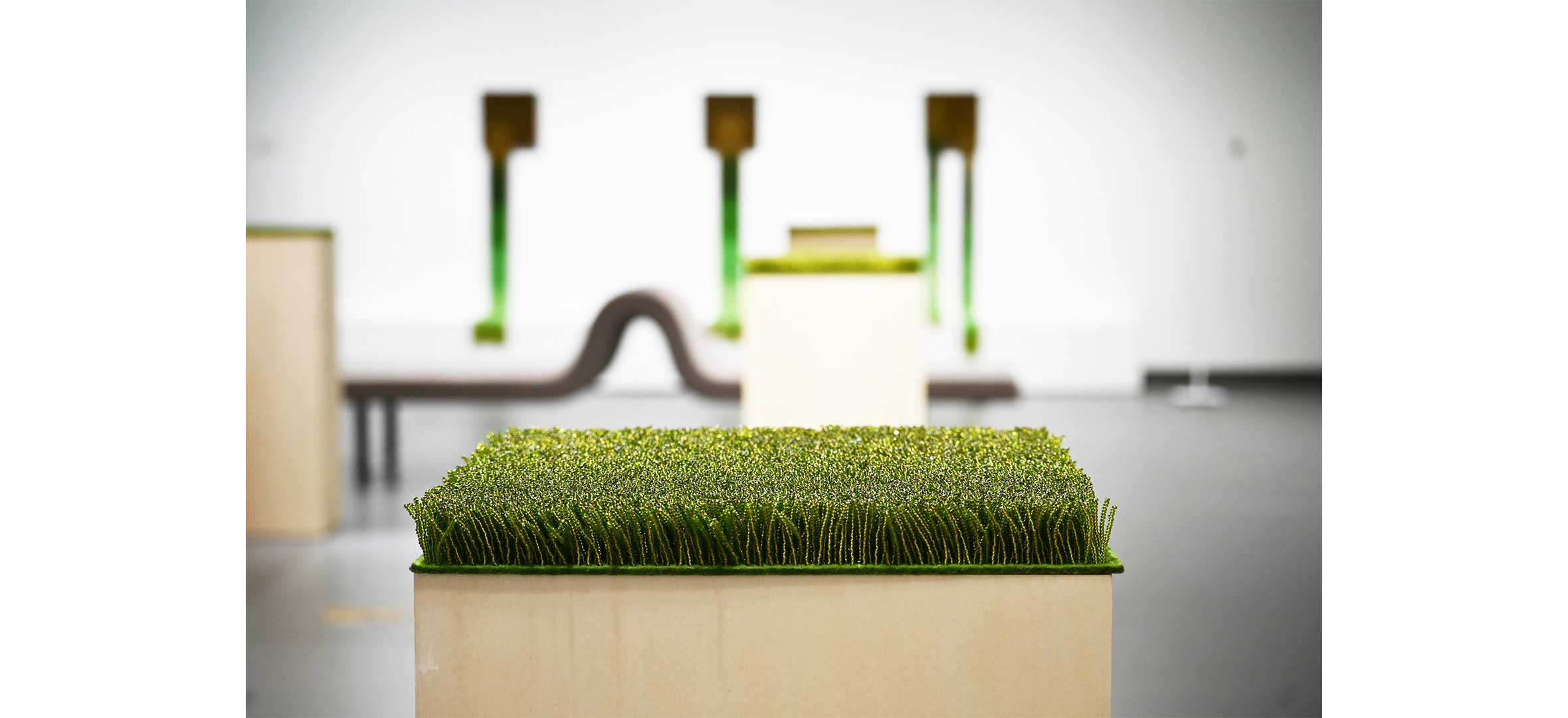 Carrie Allison - they built fields of grass on sawdust