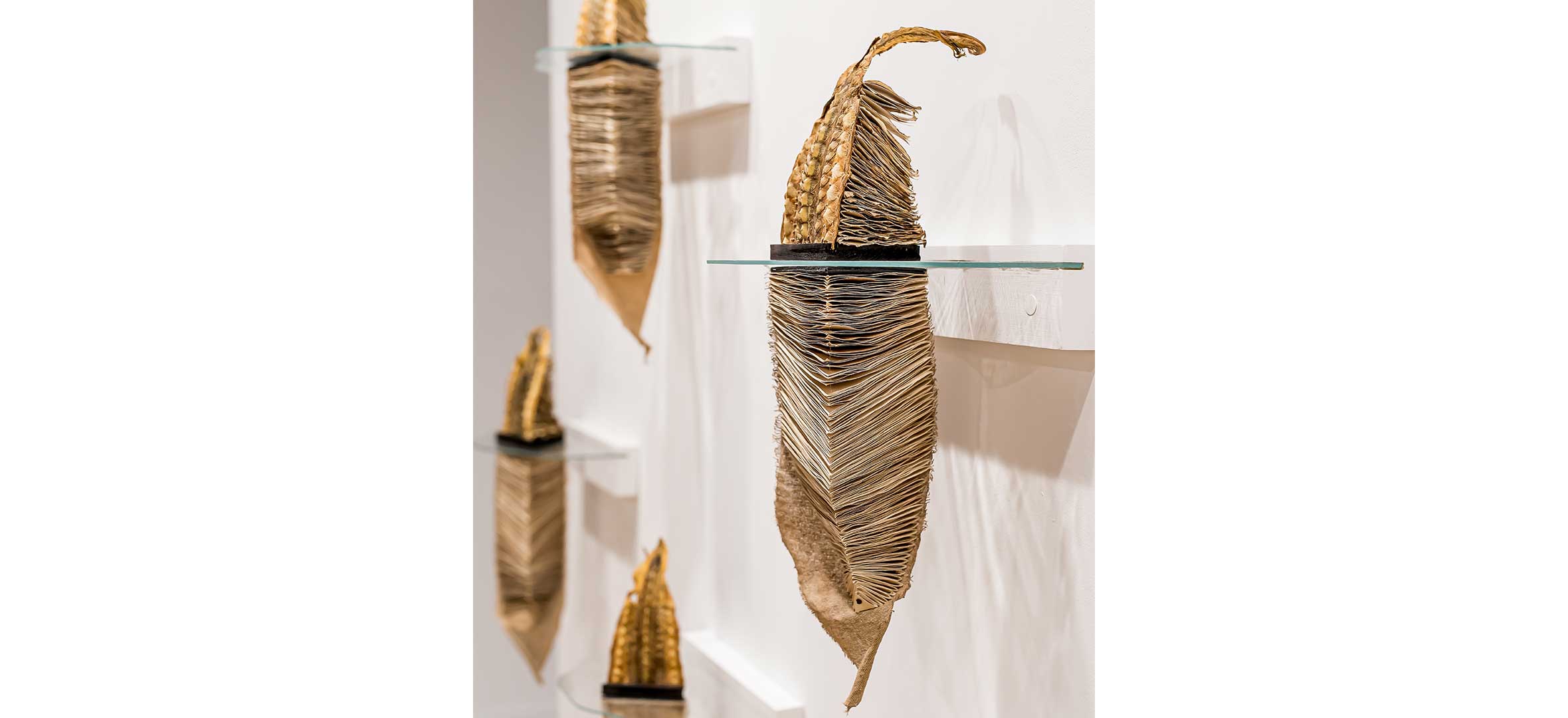 Debra France Plett - Indicators