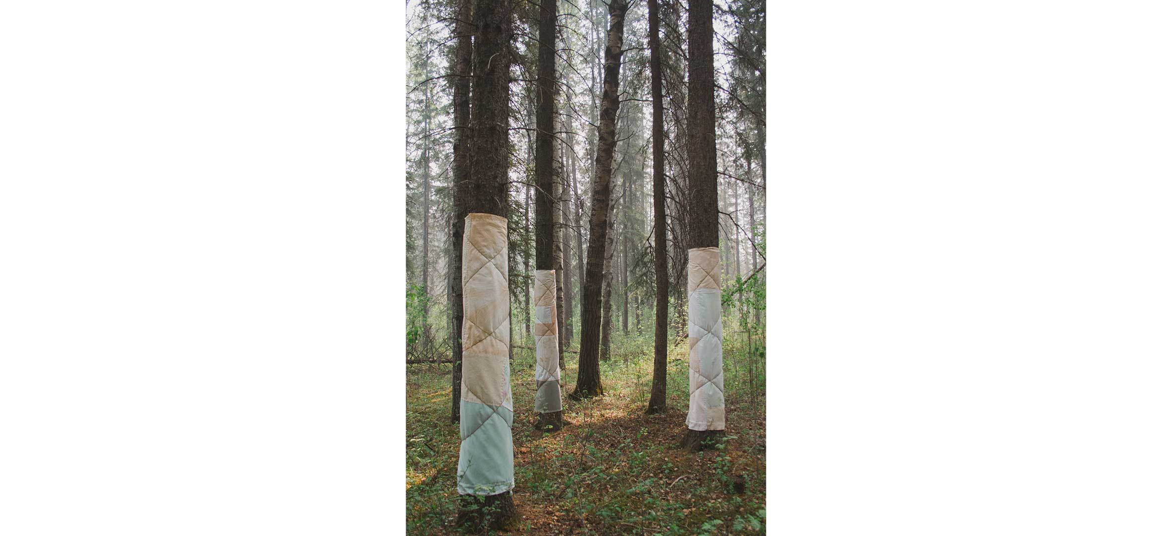 Lara Felsing - Blanket Ceremony for the Forest