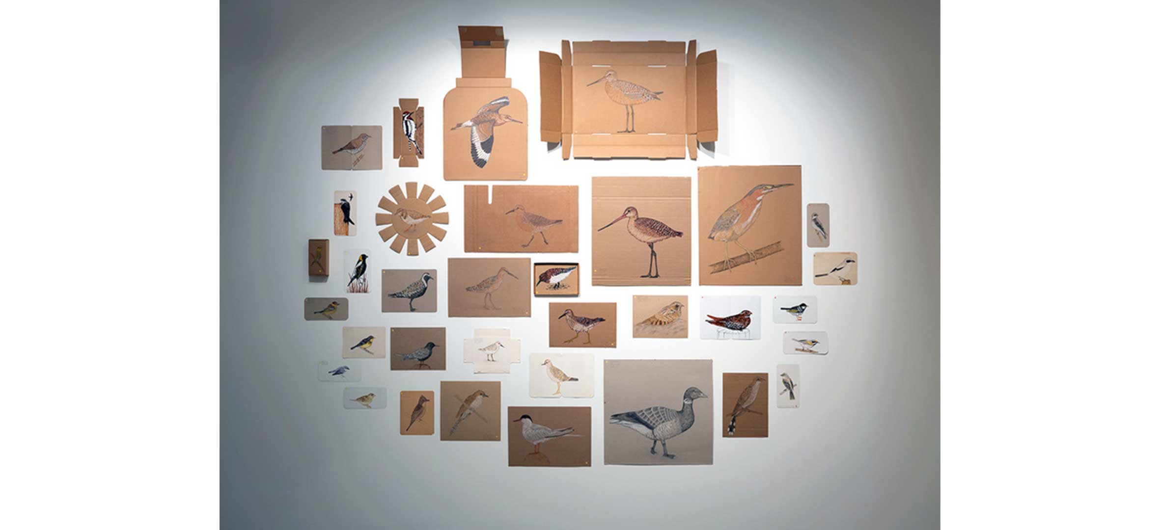 Maria Ezcurra - Migrantes Neotropicales y Otros