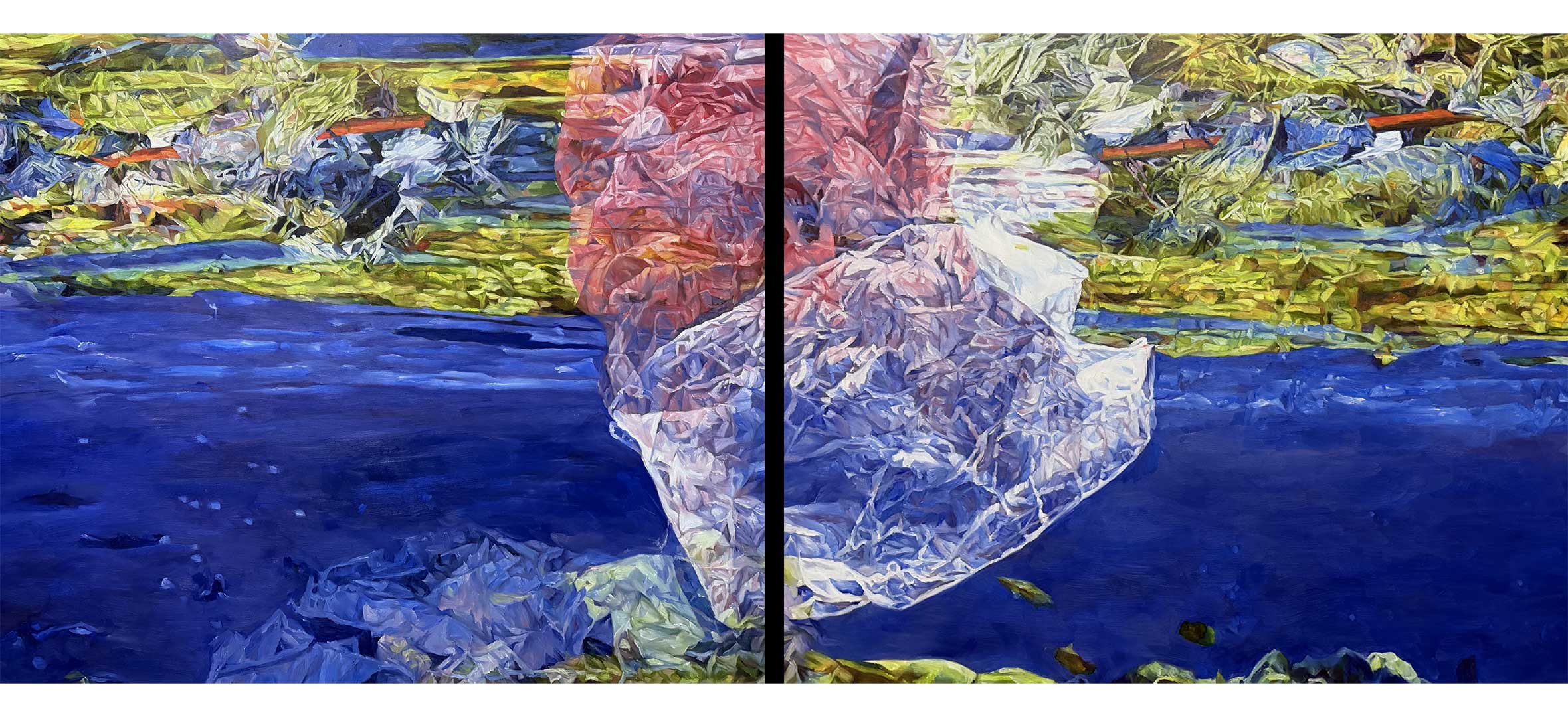 Mbelo Herve - Complexity of the Living