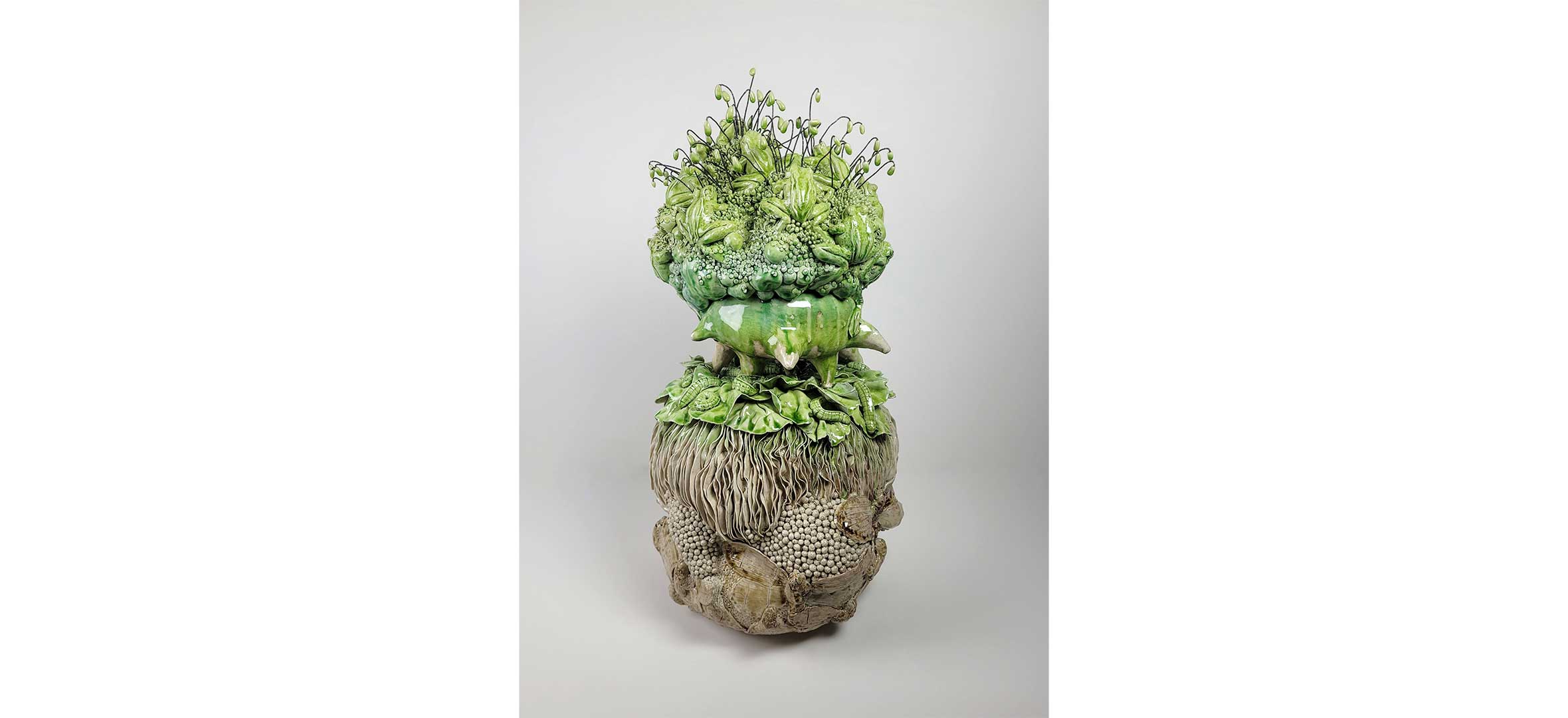 Melanie Barnett - When There Were No Frogs