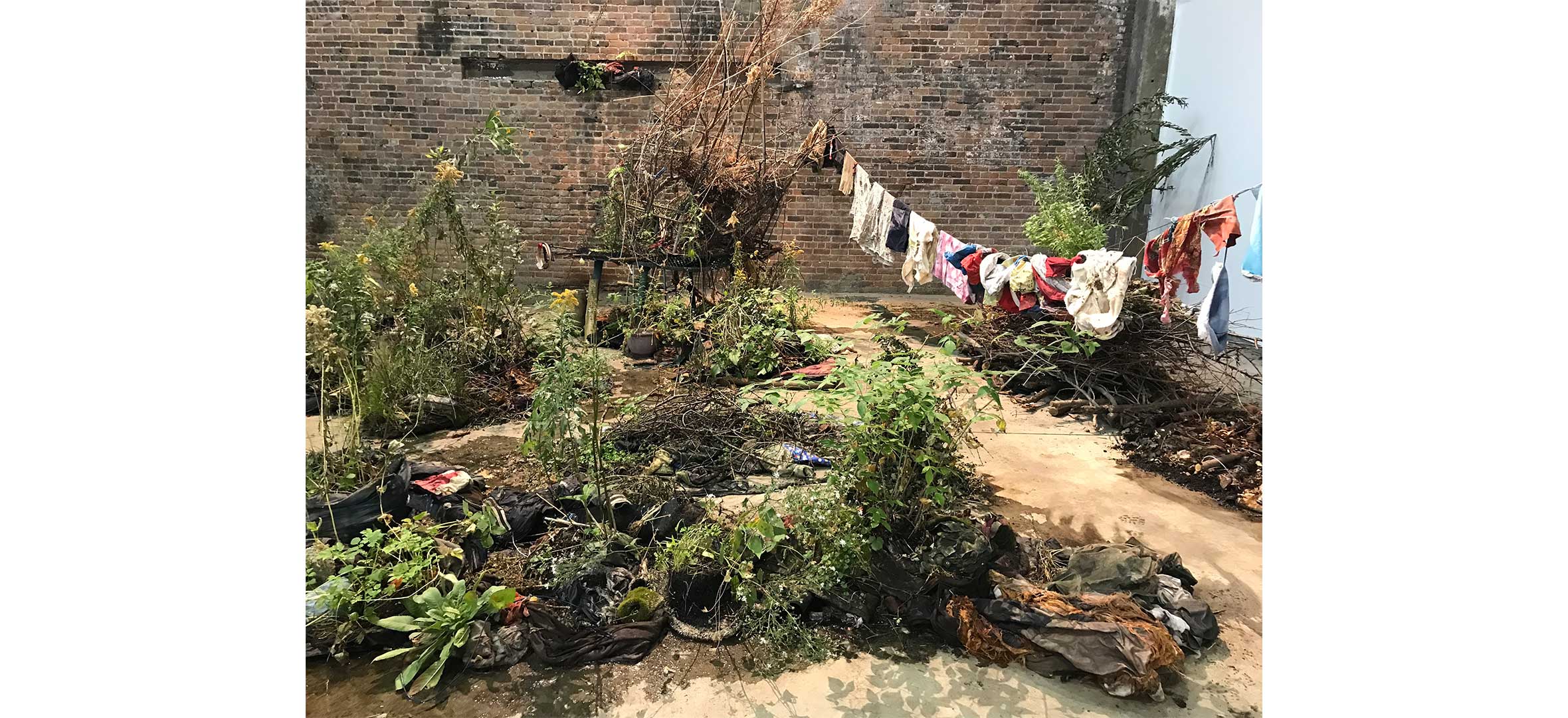 Nicole McDonald Fournier - Emballe Toi