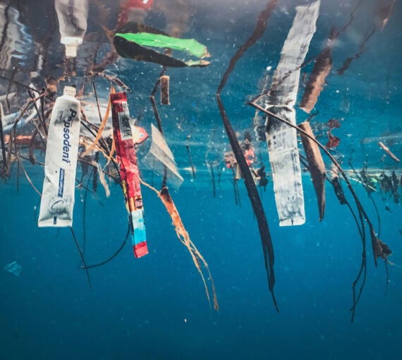 Tubes de dentifrice, emballages de bonbons et autres déchets plastiques à usage unique flottent à la surface de l'océan.